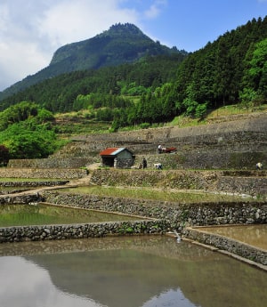 求菩提の農村景観